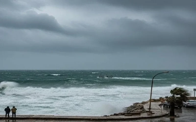 توقعات الأرصاد الجوية حول حالة الطقس المتوقعة غداً الإثنين 16 مارس 2026